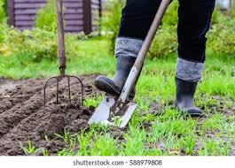 Spring Gardening